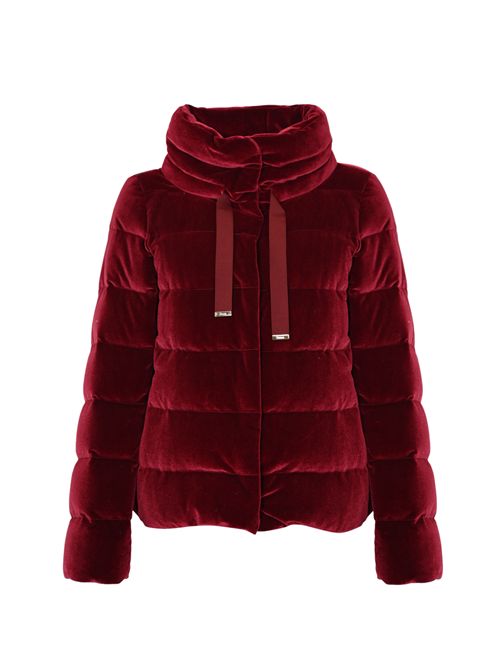 Piumino in velluto Bordeaux Herno | PI002180D 15020S6705